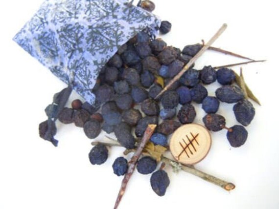 Featured image of post Steps to Make Sloe Berries Uk