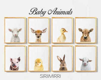 baby farm animal nursery decor