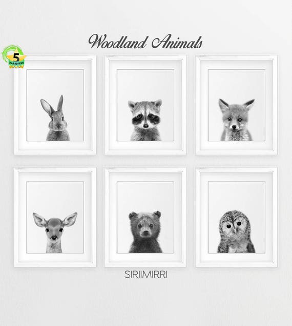 black and white woodland nursery