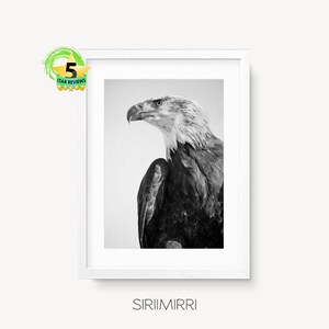 Eagle Print Modern Minimal Hawk Print Bird Prints Printable Art Instant Download Animal Wall Art Modern Bird Bird of Prey