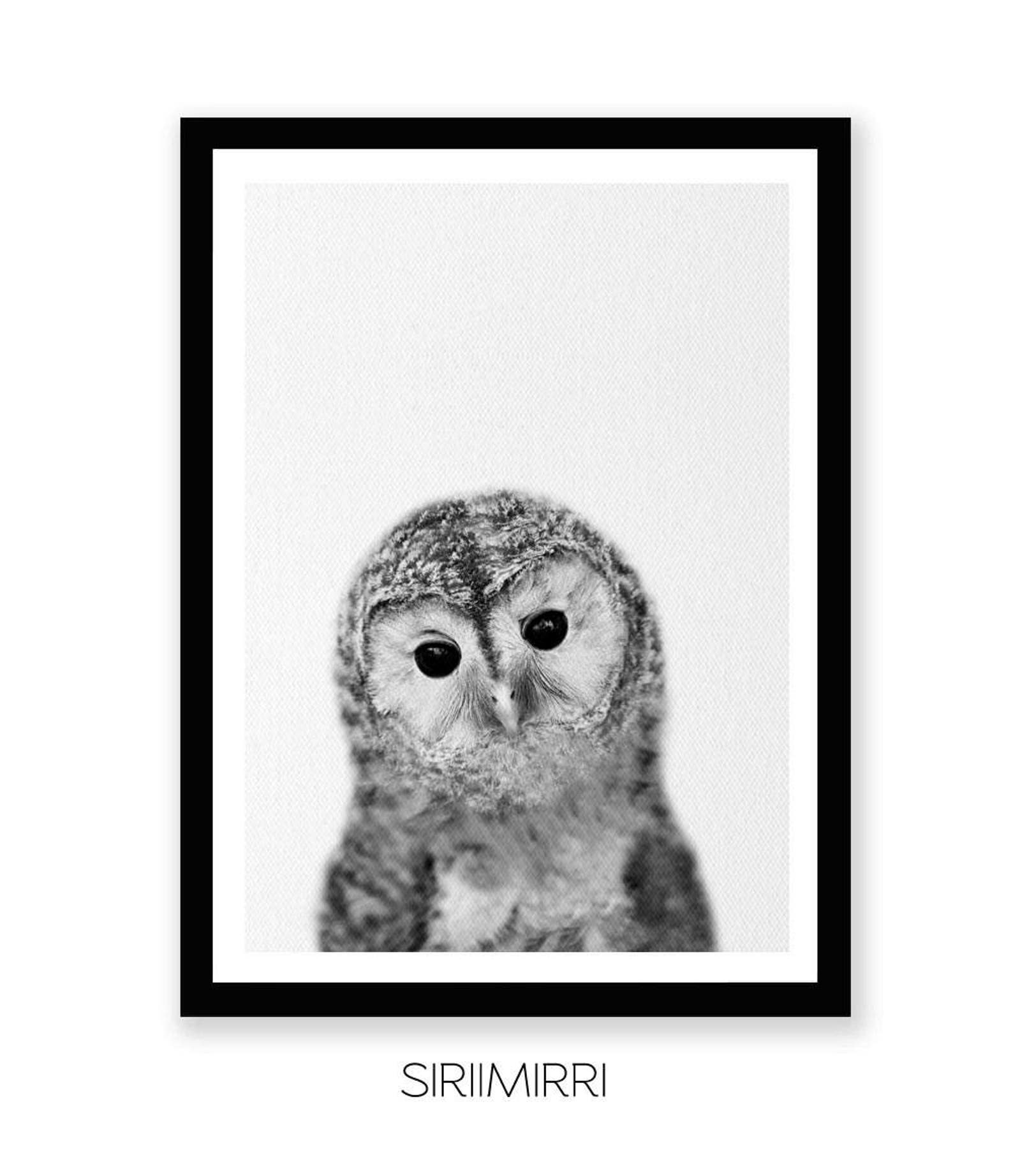 Woodlands Wall Art Owl Wall Print Owl Wall Decor Owl Printable Etsy
