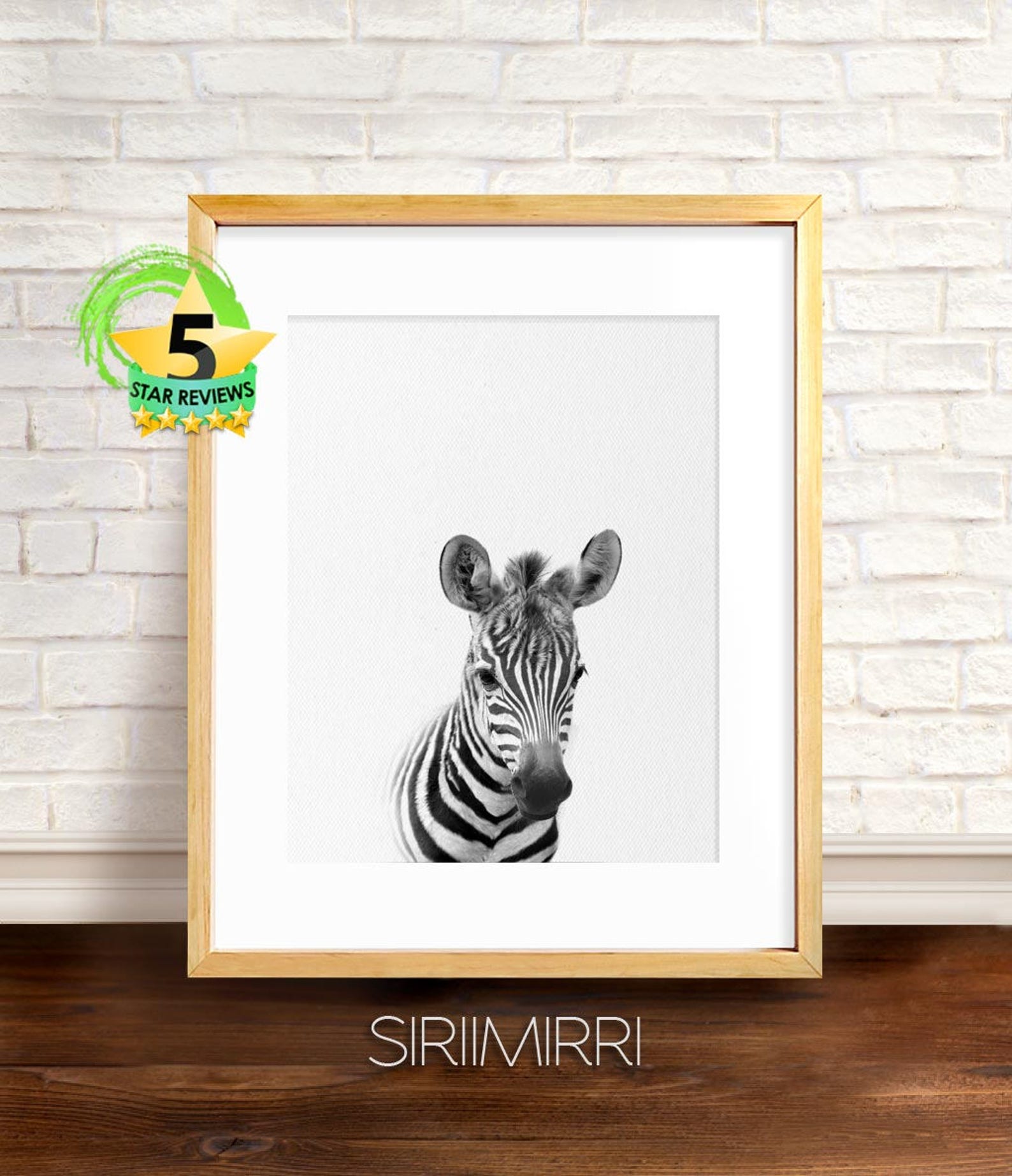 Zebra Wall Art Zebra Print Animal Photo Animal Print Safari Etsy UK