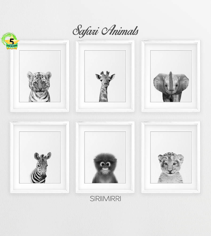 Safari Animal Prints Baby Animals Black White Set Zebra Etsy