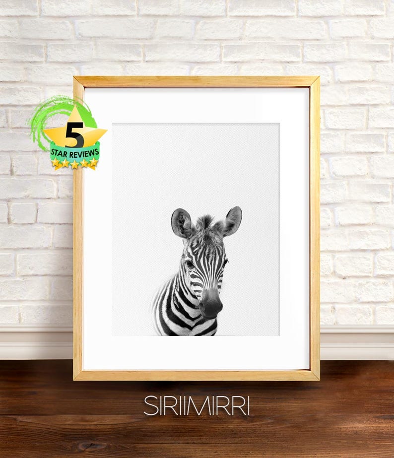 Safari Animal Prints Baby Animals Black White Set Zebra Etsy