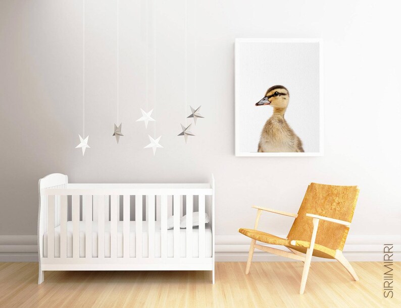 Duck Print Duck Wall Art Duck Nursery Animal Woodlands Nursery Etsy
