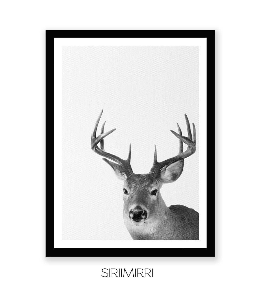 Deer Print Woodland Nursery Decor Deer Decor Black and White Etsy