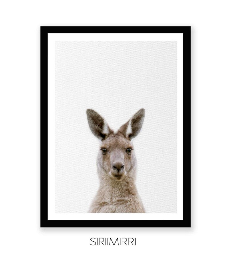 Kangaroo Print Australian Animal Wall Art Nursery Decor Etsy