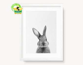 Rabbit Print, Woodland Animals, Nursery Art, Nursery Decor, Nursery Animals Print, Bunny Print, Rabbit Wall Print, Nursery Wall Art, Print