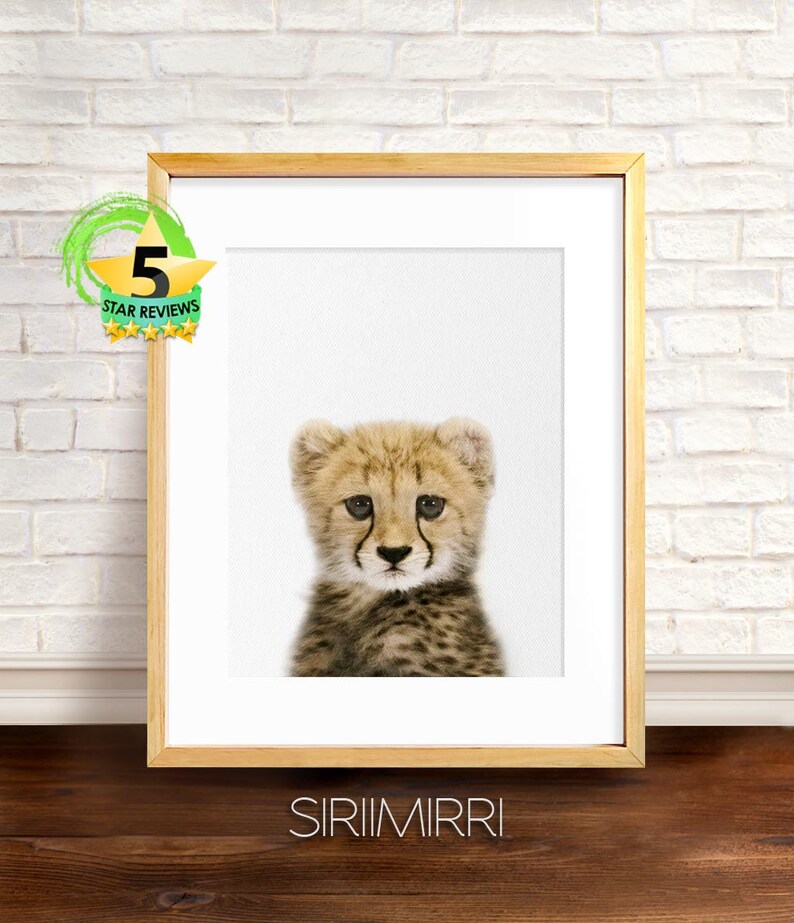 Cheetah Print Baby Animal Nursery Animal Wall Art African Etsy