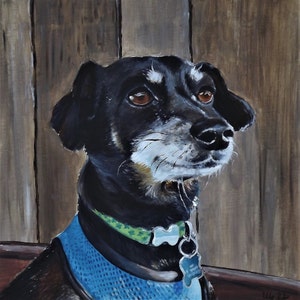 Custom Hand Painted Dog Portrait Oil on canvas Personalized Pet portrait Wall Art Dog lover gift Custom portraits painting from photo