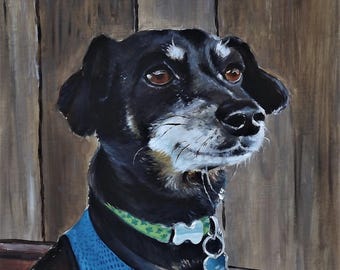 Custom Hand-Painted Pet Portrait, Oil or Acrylic on Canvas