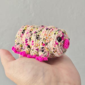 Doris the Mini Tardigrade | Waterbear