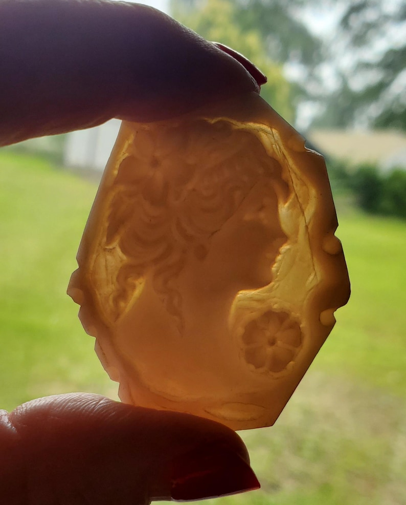 May include: A light-colored cameo pendant with a profile of a woman's face and a flower design. The pendant is held up against a blurred green background. The cameo is a light, translucent color.