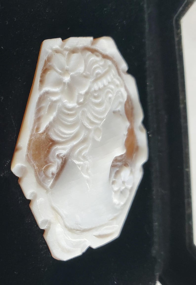 May include: A carved cameo pendant featuring a woman's profile with floral details in a cream color. The cameo is set against a dark background, showcasing the intricate relief carving and the delicate features of the woman's face.