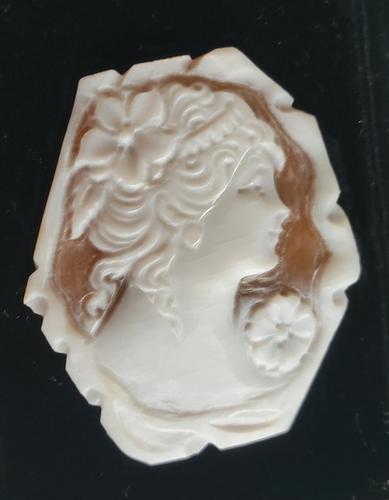 May include: A carved cameo featuring a profile of a woman with flowing hair and floral accents. The cameo is white with a brown background, set in a decorative, irregular shape. The design is detailed and elegant.