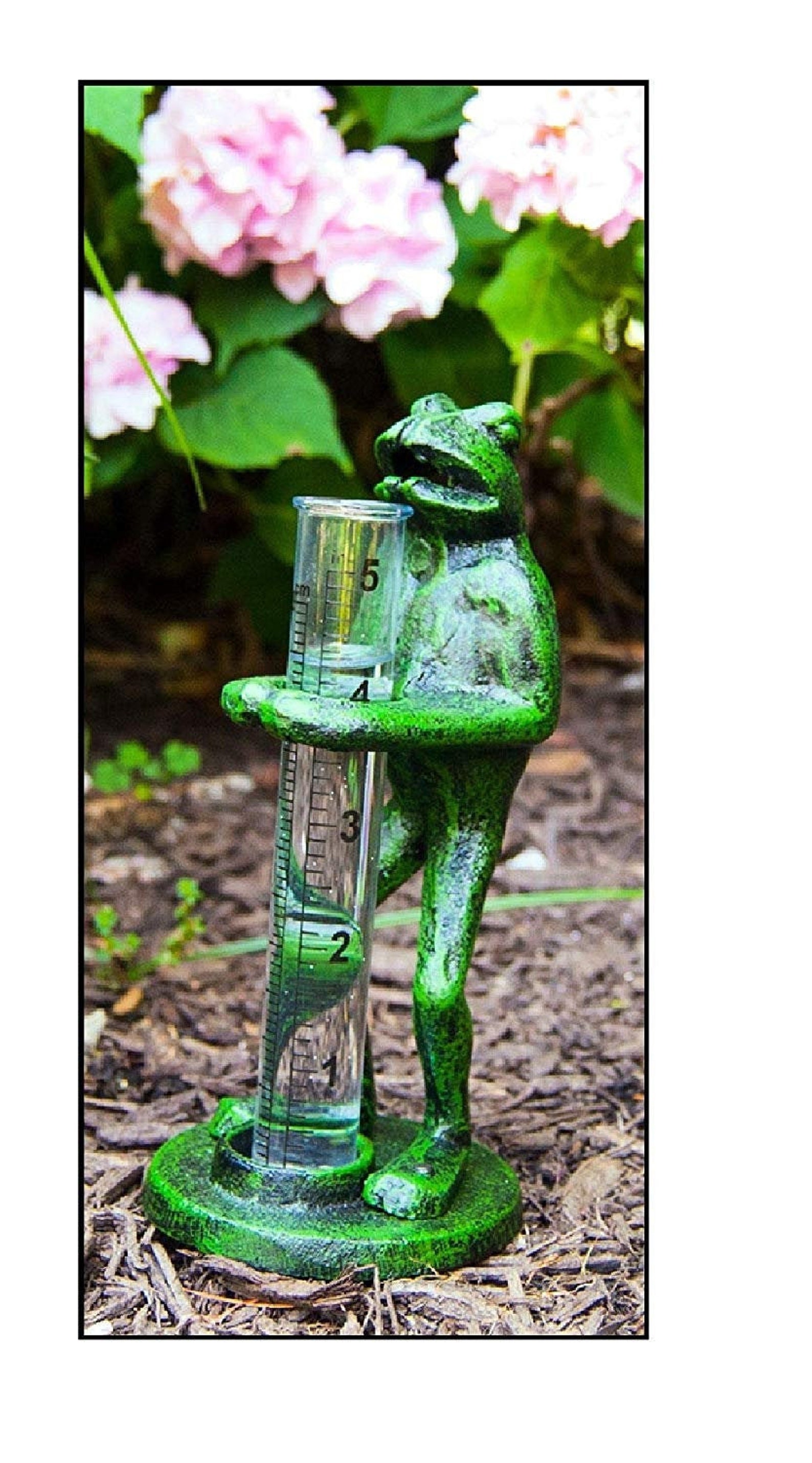 Frog With Rain Gauge Fun Capacity Rain Gauge With Glass Etsy