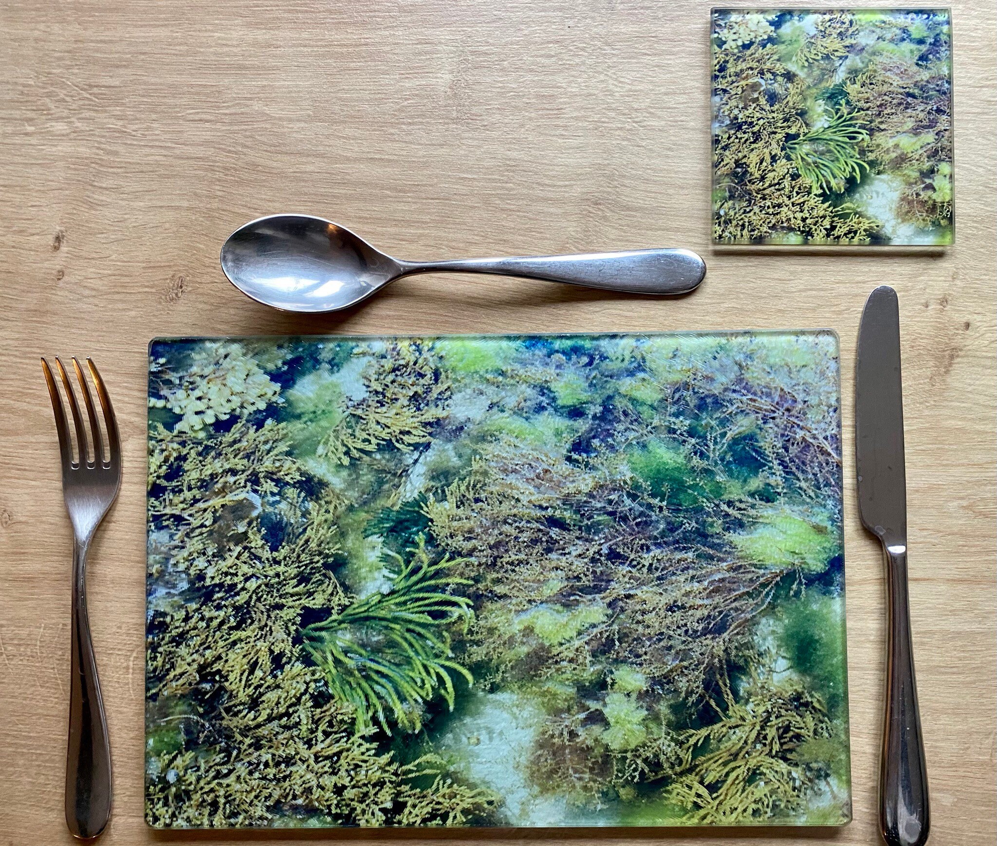 UNDER THE SEA Glass placemats and coasters Etsy