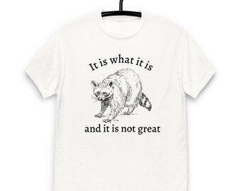 Waschbär „es ist, was es ist, und es ist nicht großartig“ Unisex-T-Shirt aus 100 % Baumwolle von Gildan