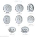 Plaster Intaglios | Small & Large Sizes