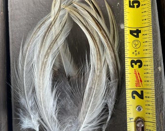 Rooster Feathers Soft and Flowy Tan Brown lot of 10