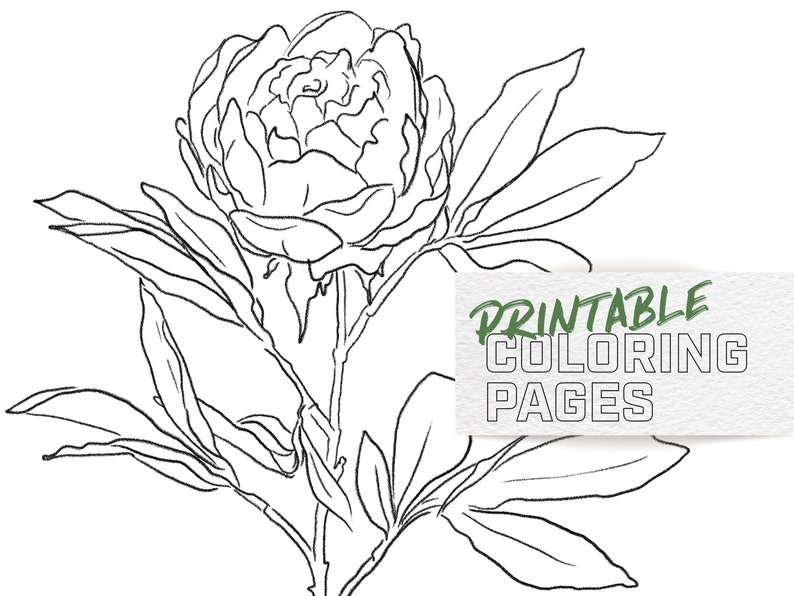 Floral Hand Drawn Digital Download Coloring Pages 6 Printable Flower Coloring Pages image 2