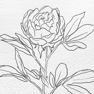 Floral Hand Drawn Digital Download Coloring Pages 6 Printable Flower Coloring Pages image 4