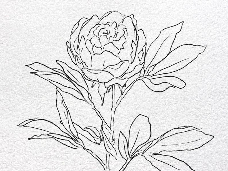 Floral Hand Drawn Digital Download Coloring Pages 6 Printable Flower Coloring Pages image 4