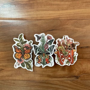Moth and Butterfly Laptop Sticker, monarch, sunset moth, atlas moth Watercolor, Line Art, Boho Sticker, Vintage moth Illustration floral