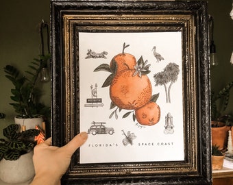 Florida’s Oranges 8x10 11x14, Cocoa Beach, Watercolor Illustration, Titusville, Merrit Island, Palm, Shuttle Rocket Launch Citrus, wall art