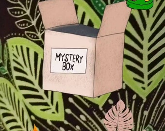 Hawaii Jewelry Box Etsy
