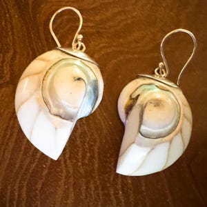 May include: A pair of nautilus shell earrings with silver-colored hooks. The earrings feature a pearlescent white and tan color scheme with a spiral design. The earrings are displayed on a brown surface.