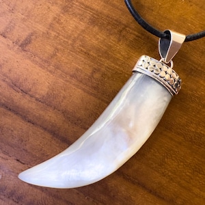 May include: A pendant necklace with a large, curved, off-white pendant, possibly a tooth or tusk, with a silver-coloured cap and bail. The pendant hangs from a black leather cord, set against a warm, wooden background.