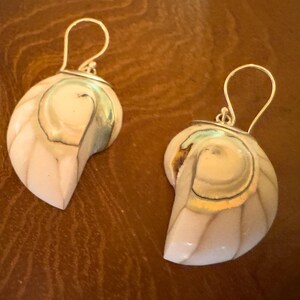 May include: A pair of seashell earrings. Each earring features a nautilus shell design with a silver-colored hook. The shells have a cream and tan color scheme with iridescent accents, creating a natural and elegant look.