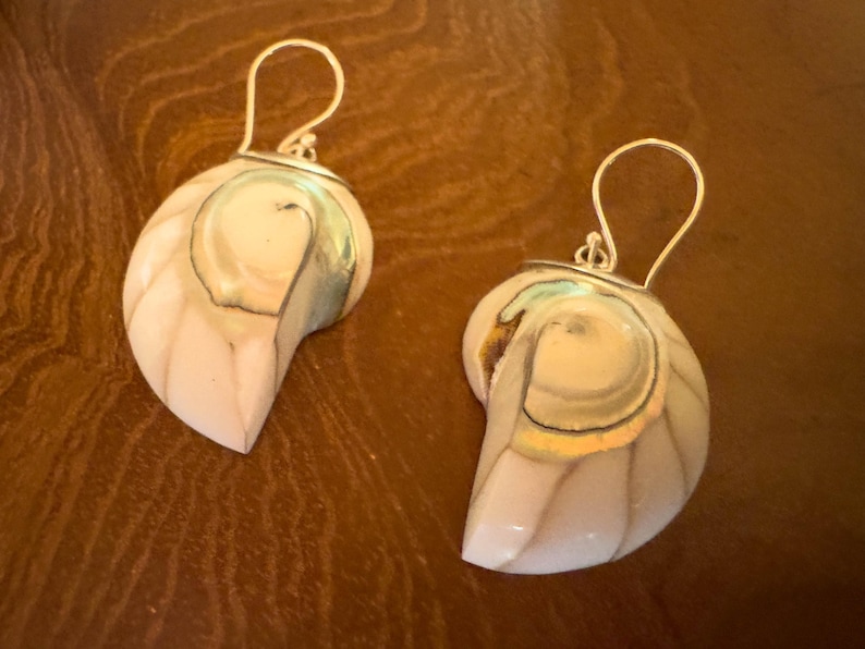 May include: A pair of seashell earrings. Each earring features a nautilus shell design with a silver-colored hook. The shells have a cream and tan color scheme with iridescent accents, creating a natural and elegant look.