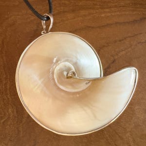 Könnte beinhalten: Ein weißer Perlmutt-Anhänger in Form einer Nautilus-Schale. Der Anhänger ist an einer schwarzen Schnur befestigt.