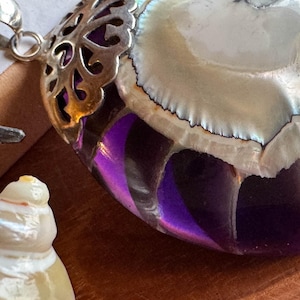 Colgante de concha de nautilus de nácar de 62 mm, plata de ley 925, color violeta