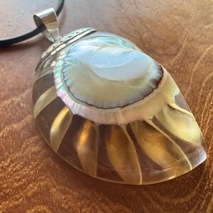 Könnte beinhalten: Anhänger aus einer Nautilus-Schale mit silberner Öse und schwarzem Band. Die Schale hat schillernde Farben und ein gestreiftes Muster in Braun- und Goldtönen. Der Anhänger liegt auf einer Holzoberfläche.