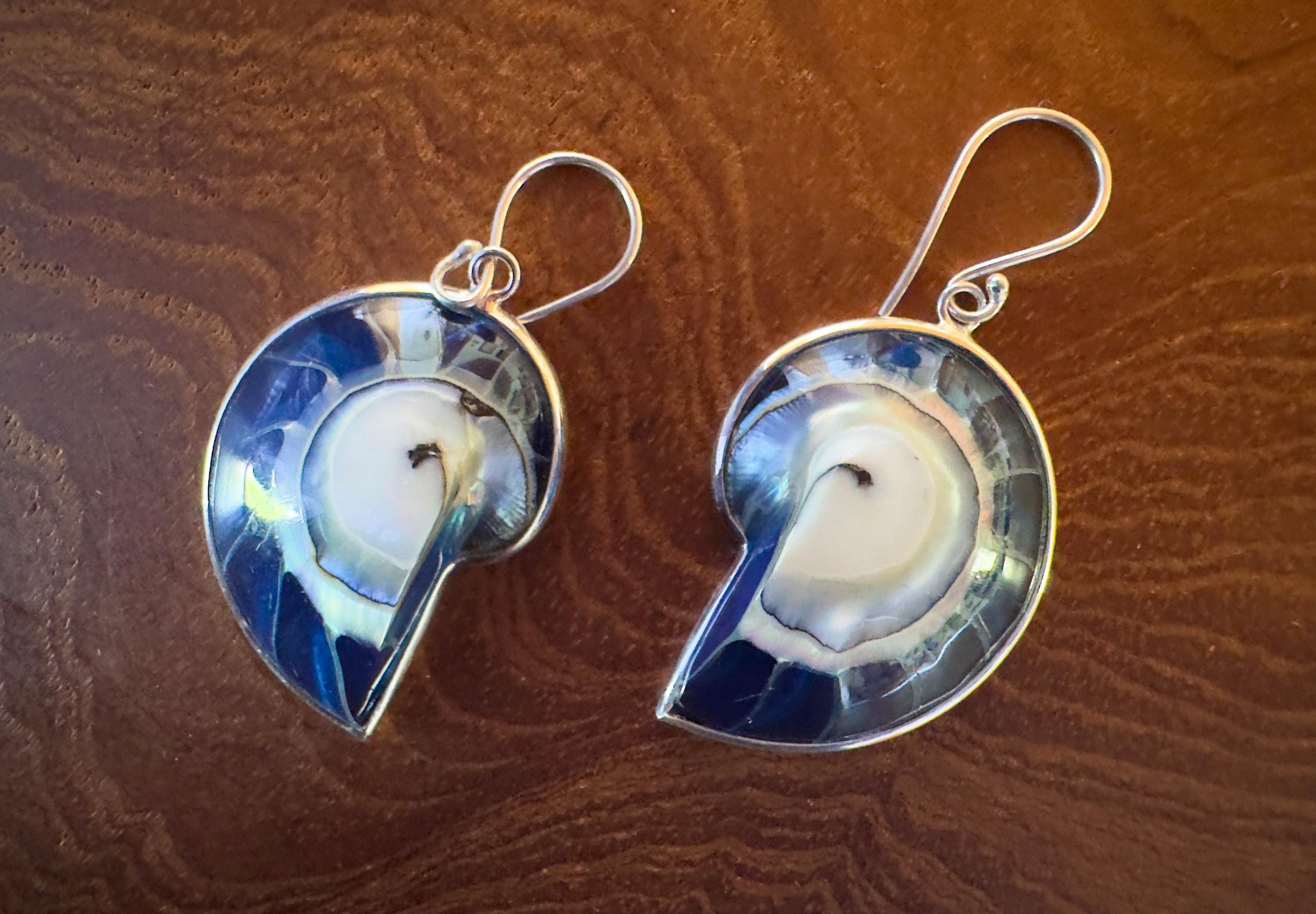 Blue Nautilus Shell Earrings personalized gift