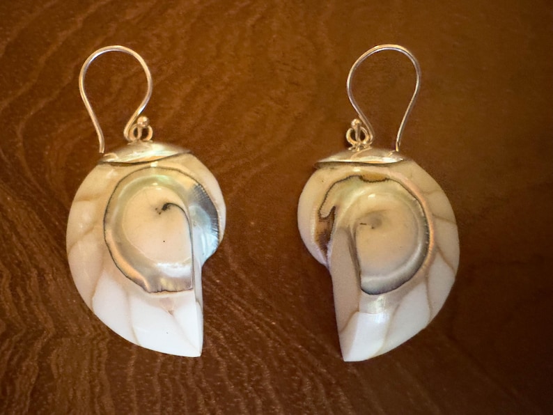 May include: A pair of nautilus shell earrings with silver-colored hooks. The earrings feature a pearlescent white and cream color with a silver-colored metal accent. The shell design has a spiral pattern.