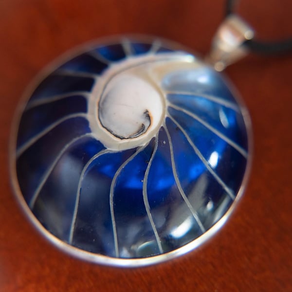 Blue Shell Pendant