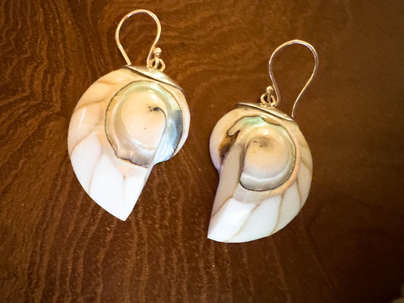 May include: A pair of nautilus shell earrings with silver-colored hooks. The earrings feature a pearlescent white and tan color scheme with a spiral design. The earrings are displayed on a brown surface.
