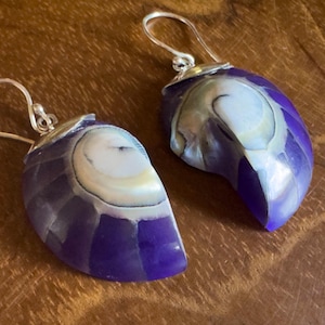 May include: Earrings featuring nautilus shells with a striking purple colour and shimmering white and silver details. The earrings have silver-coloured hooks. The shells are cut to show the inner spiral patterns, creating a unique design.