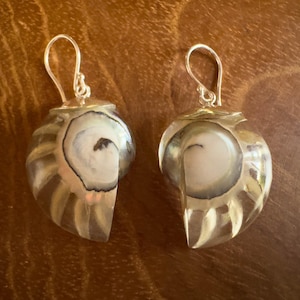 Peut inclure: Une paire de boucles d'oreilles en coquillage nautile. Chaque boucle d'oreille présente une coquille polie et irisée avec un crochet argenté. Les coquillages affichent un motif en spirale avec des nuances de crème, de brun et de gris. Les boucles d'oreilles sont présentées sur une surface brune.