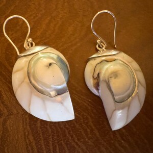 May include: A pair of nautilus shell earrings with silver-colored hooks. The earrings feature a pearlescent white and tan color scheme with a silver-colored trim. The shells have a spiral design and are cut in half.