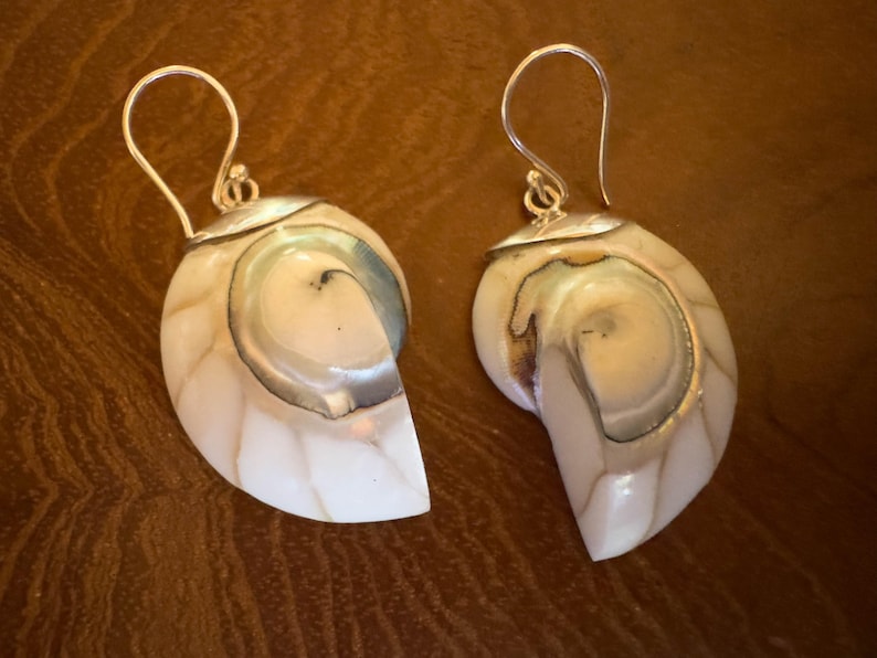 May include: A pair of nautilus shell earrings with silver-colored hooks. The earrings feature a pearlescent white and tan color scheme with a silver-colored trim. The shells have a spiral design and are cut in half.