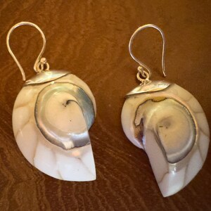 May include: A pair of nautilus shell earrings with silver-colored hooks. The earrings feature a pearlescent white and gray shell design. The shells have a spiral pattern and are set with a silver-colored metal cap.