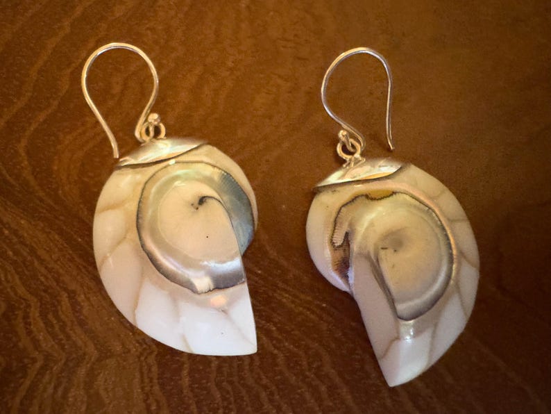 May include: A pair of nautilus shell earrings with silver-colored hooks. The earrings feature a pearlescent white and gray shell design. The shells have a spiral pattern and are set with a silver-colored metal cap.