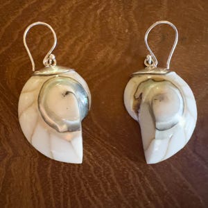May include: A pair of seashell earrings with silver-colored hooks. The earrings are white with a swirling, pearlescent pattern and a silver-colored cap. The earrings are designed to resemble nautilus shells.