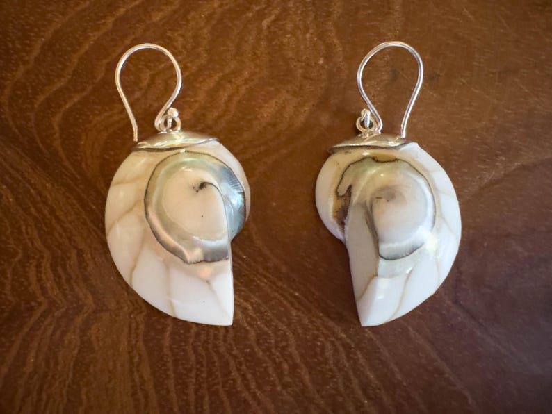 May include: A pair of seashell earrings with silver-colored hooks. The earrings are white with a swirling, pearlescent pattern and a silver-colored cap. The earrings are designed to resemble nautilus shells.