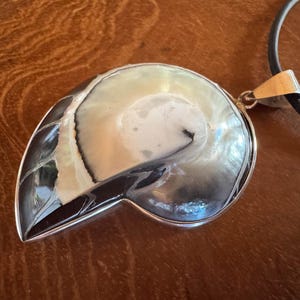 Può includere: Ciondolo a forma di conchiglia nautilus con cornice e anello in metallo argentato, sospeso a un cordino nero. Il guscio presenta un motivo a spirale bianco perlaceo e grigio con accenti grigio scuro e neri. Il ciondolo è esposto su una superficie di legno.